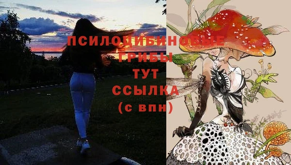 PSILOCYBIN Верхнеуральск