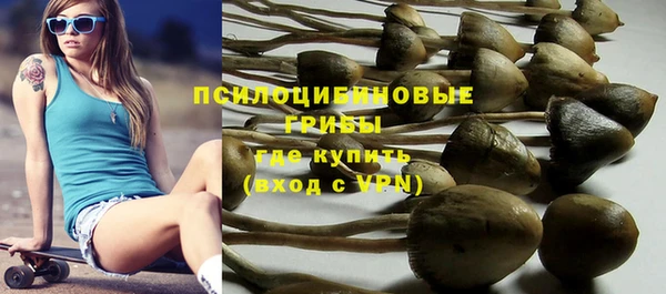 PSILOCYBIN Верхнеуральск
