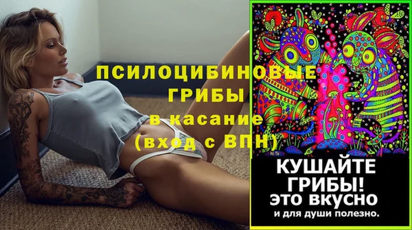 PSILOCYBIN Верхнеуральск