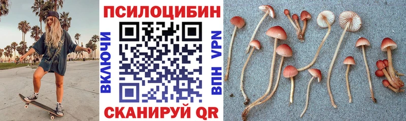 Галлюциногенные грибы Cubensis  Энгельс 