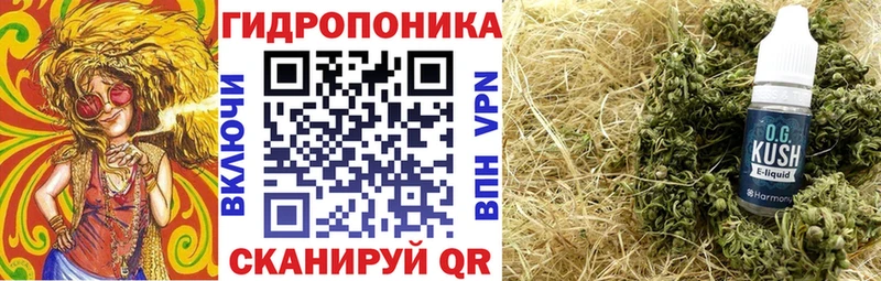 хочу   Энгельс  Бошки марихуана марихуана 